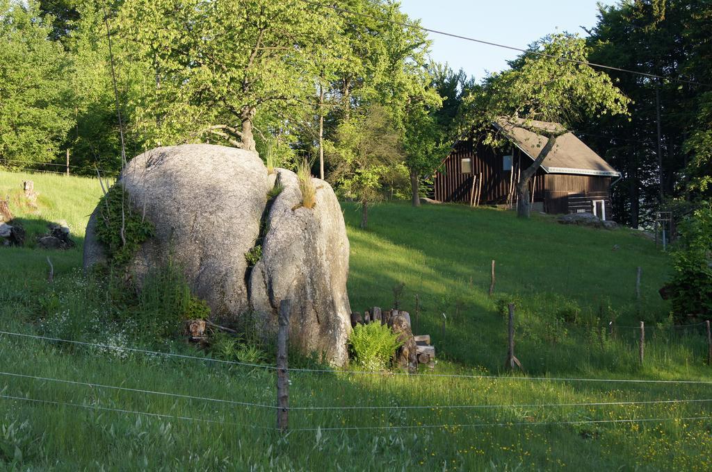 Na Slunecni Pohadkova Chaloupka Ve Sladke Dire Příchovice Buitenkant foto
